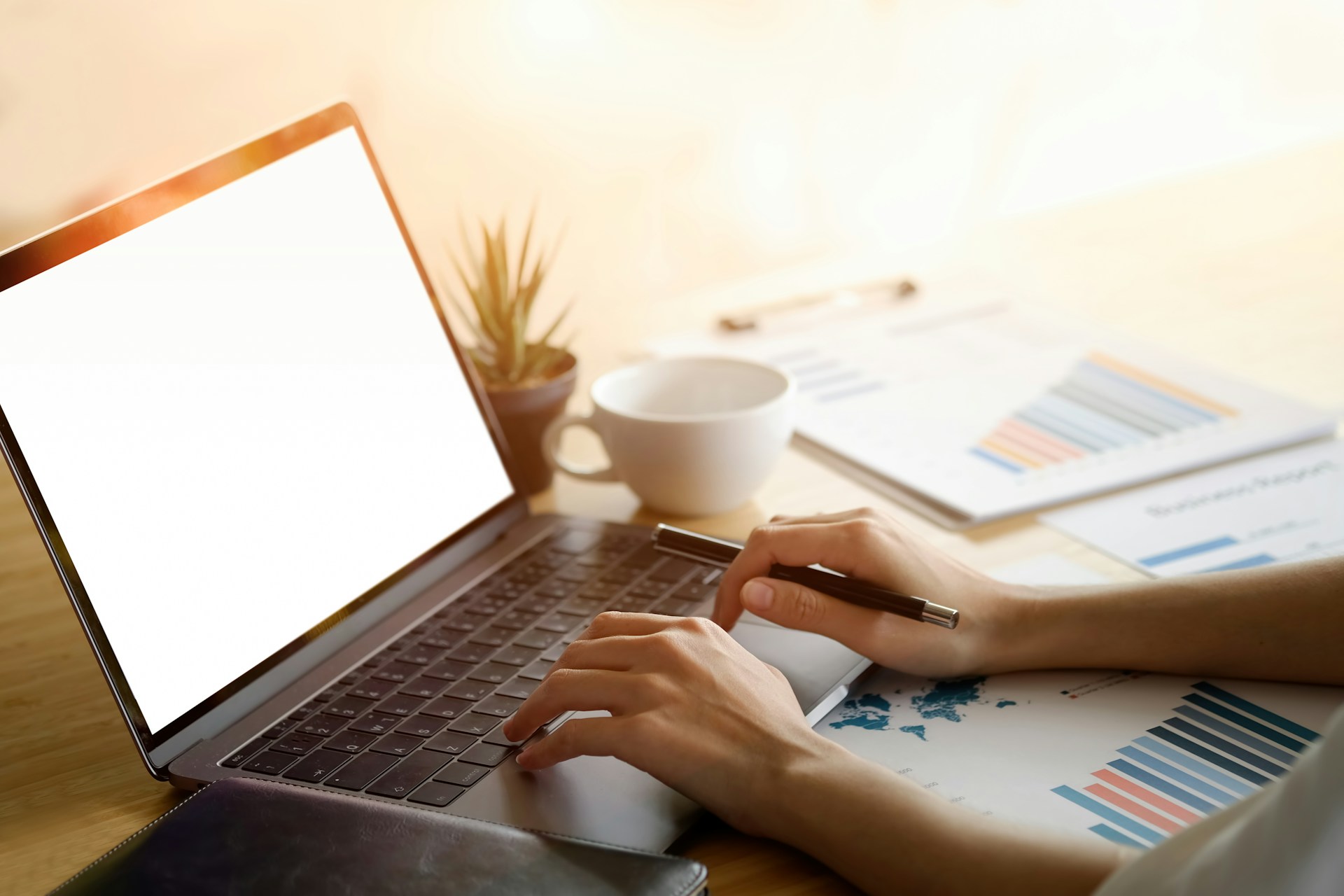 Tampa SEO